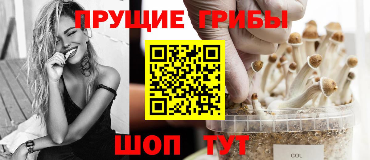 Псилоцибиновые грибы ЛСД Сертолово