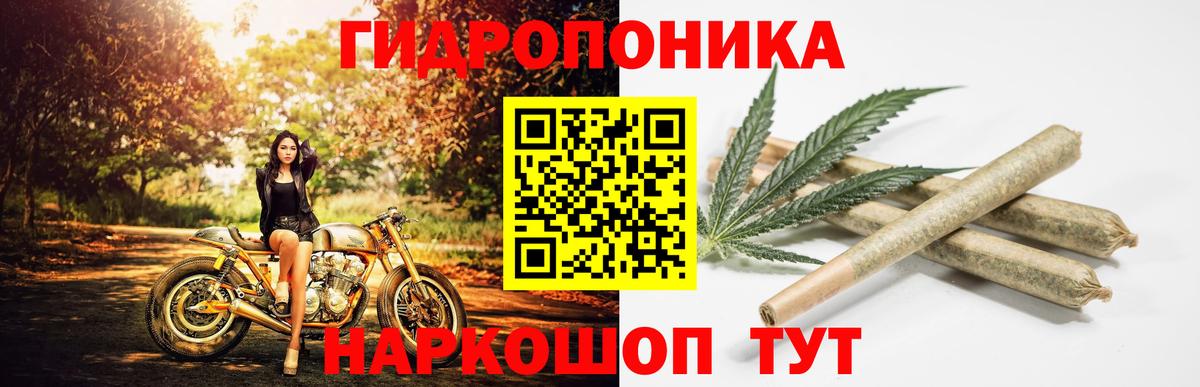 Бошки марихуана ГИДРОПОН  Вход с VPN  Бошки марихуана AK-47  Сертолово  Бошки Шишки ГИДРОПОН 